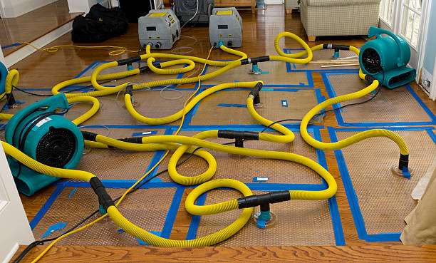 Professional Sewage Cleanup technician working in Stanchfield, MN